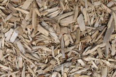 biomass boilers Wiveton